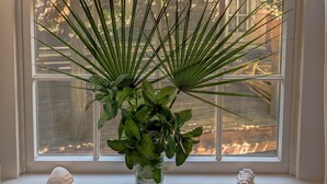 Une fenêtre donnant sur des arbres et une plante aux longues feuilles, placée dans un vase.