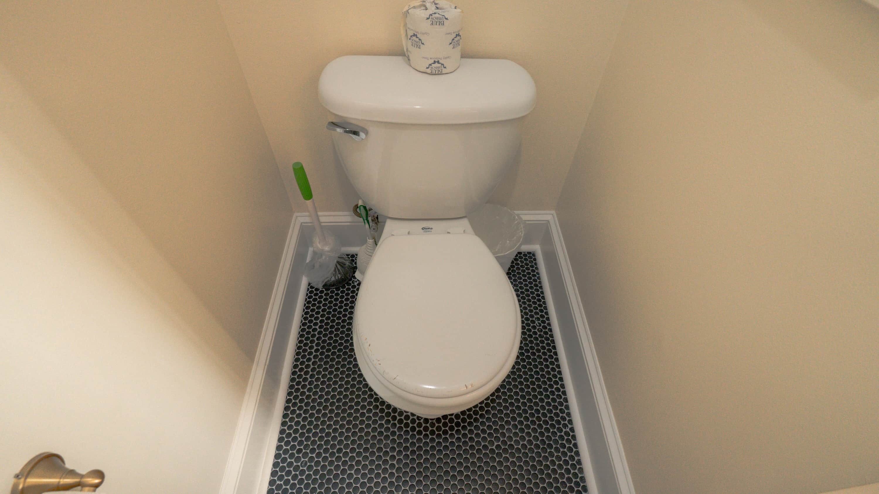 Des toilettes avec un porte-rouleau de papier toilette, une brosse de nettoyage verte et une brosse pour les toilettes.