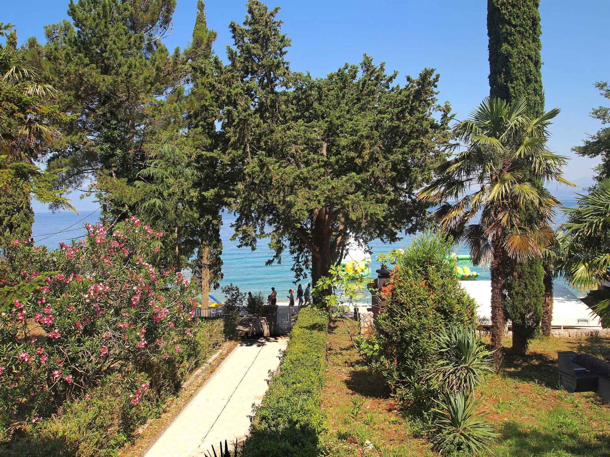 Un sentier qui mène à une plage bordée d’arbres, d’où l’on a une vue sur la mer.
