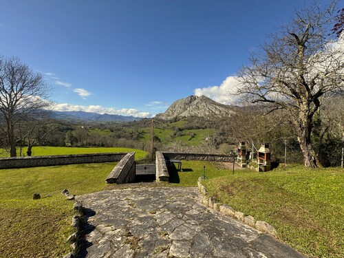 Escuelas de collía D