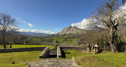 Escuelas de collĂa D