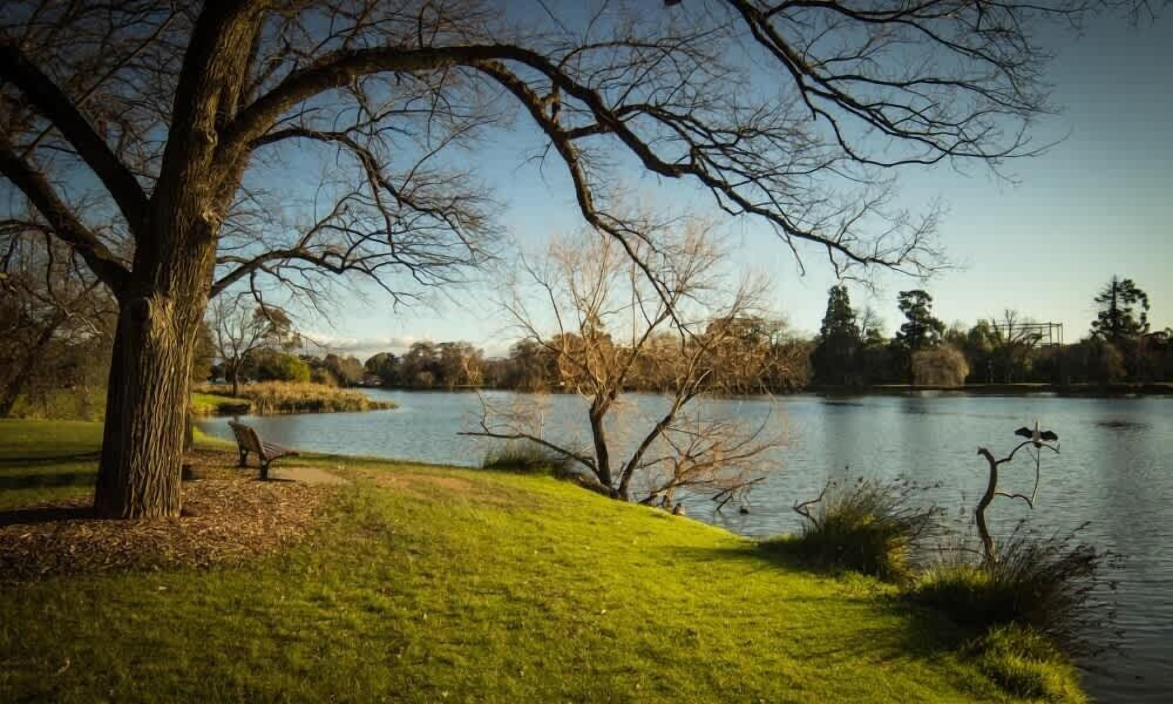 A park with a lake, trees, and a grassy area.