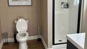 A bathroom with a toilet, a shower, and a framed picture on the wall.