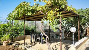 Ein überdachter Außenbereich mit einer Pergola, einem Grill und einem Blumentopf.