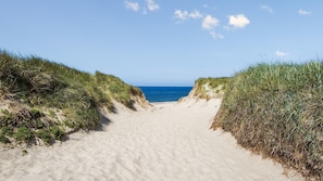 Ein Sandweg am Strand, der zum Meer führt, umgeben von grasbewachsenen Dünen.