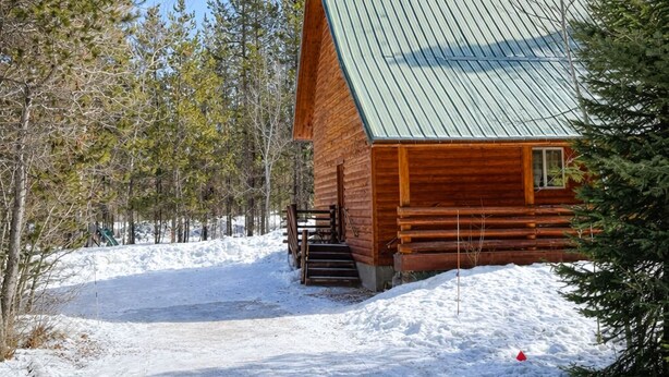 Une cabane en rondins surmontée d’un toit en métal, entourée d’arbres et de neige.