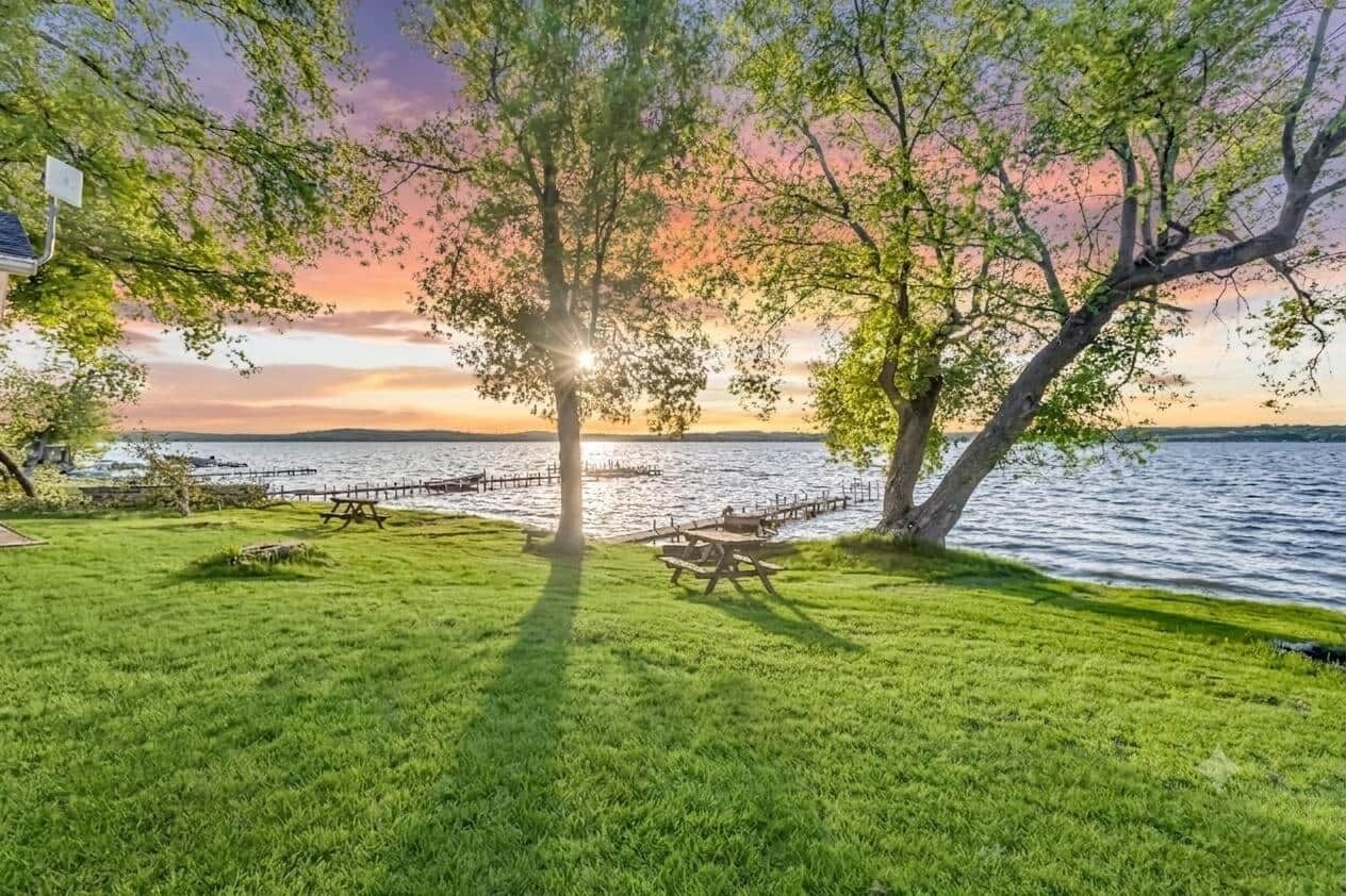 A grassy area with a wooden dock extending into a body of water, surrounded by trees.