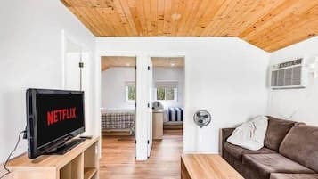 Smart TV, fireplace, table tennis, books