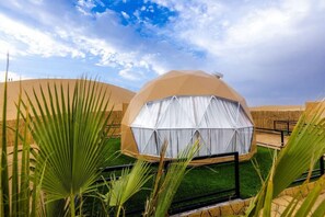 A dome-shaped structure with a white curtain, surrounded by palm trees and a clear sky.