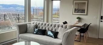 one-bedroom modern suite with a great view