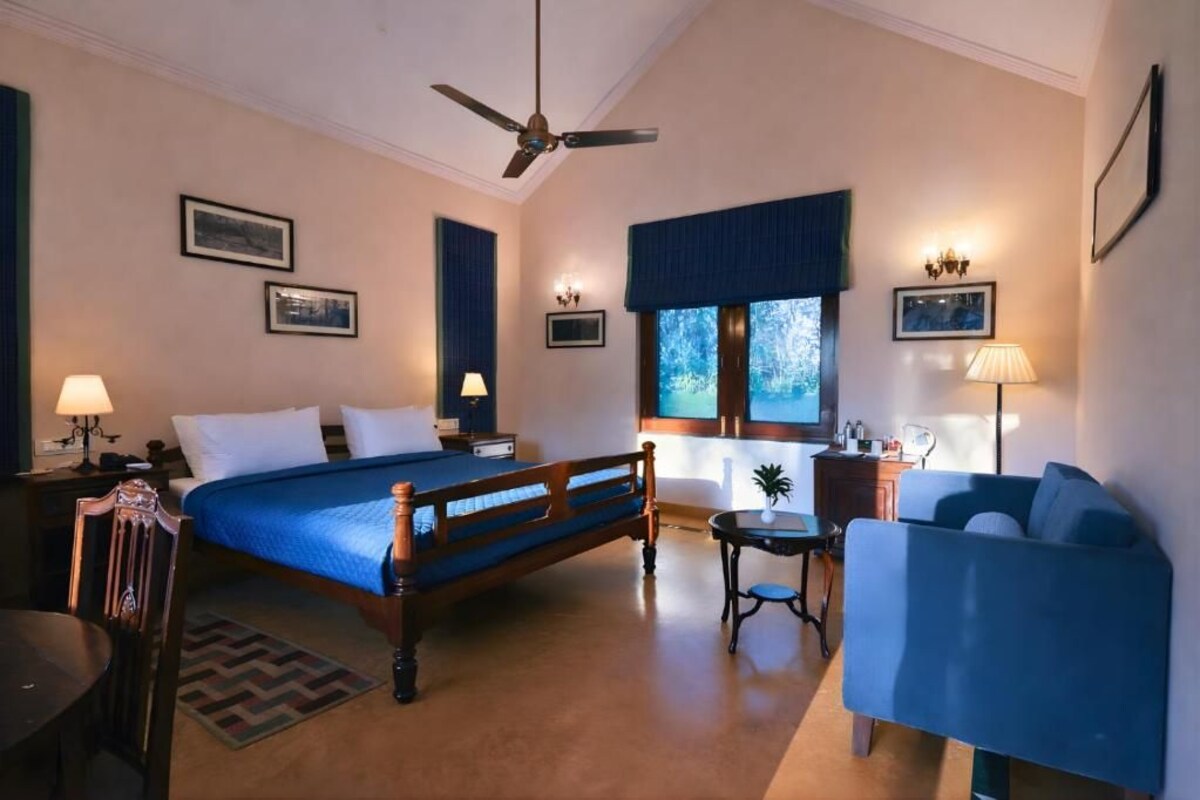 A hotel room with a bed, a desk, a chair, a sofa, a ceiling fan, and a window with a view of trees.