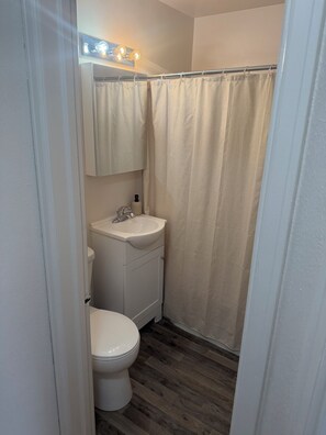 Hair dryer, towels, soap, toilet paper