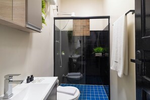 Appartement | Salle de bain | Douche