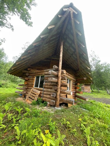 Interior Alaska vacation getaway. Secluded 1 bedroom cabin next to the river.