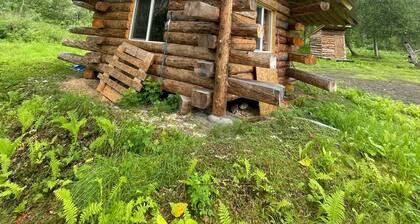 Interior Alaska vacation getaway. Secluded 1 bedroom cabin next to the river.