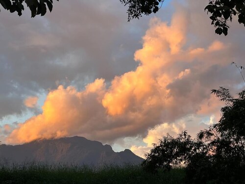 Lhong Chiang Dao glamping
