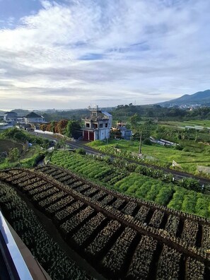 A rural landscape with fields, a road, and a building with a blue roof.