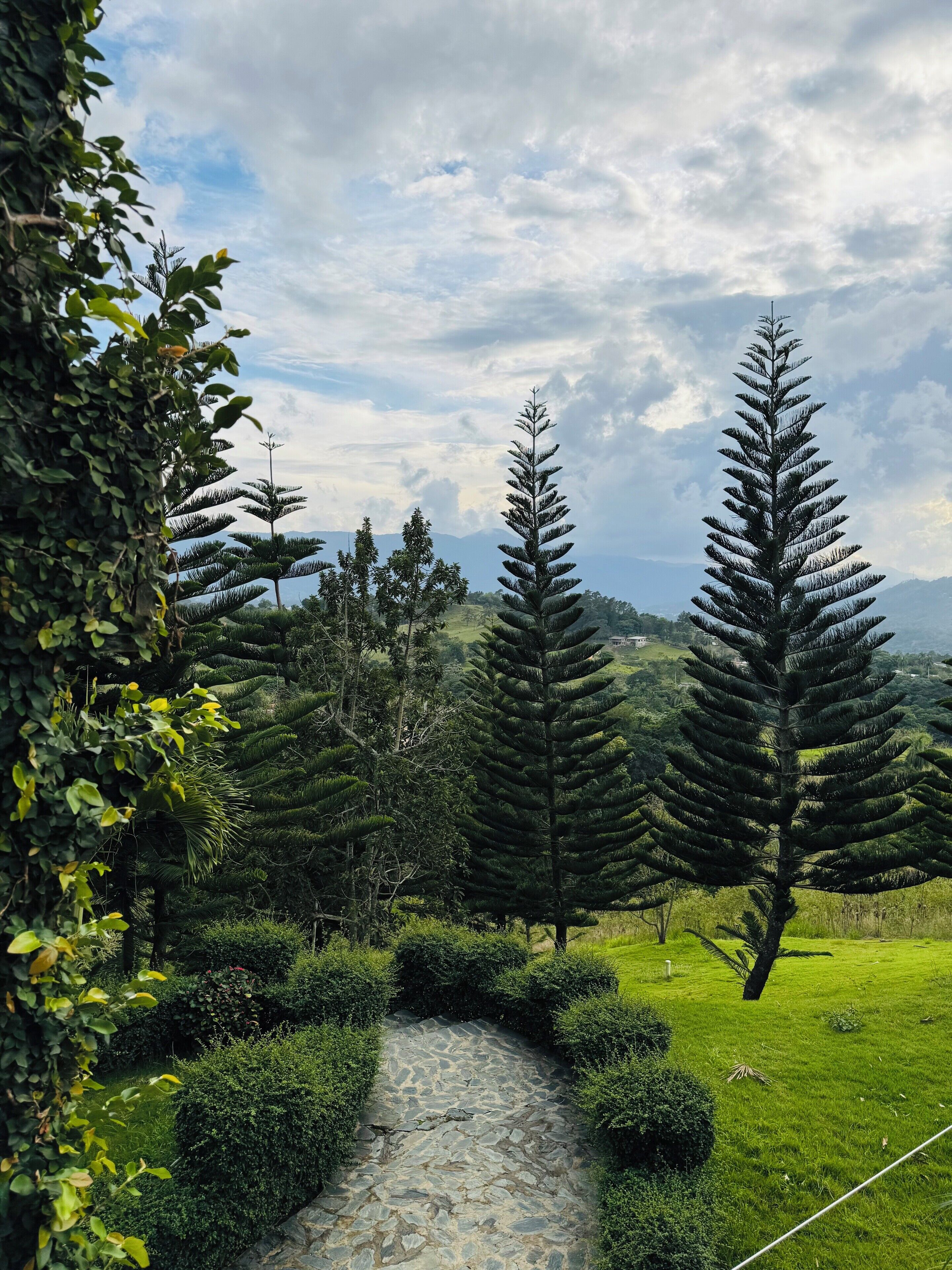 Land view from property