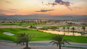 Un campo de golf con búnkeres de arena, obstáculos de agua y palmeras.
