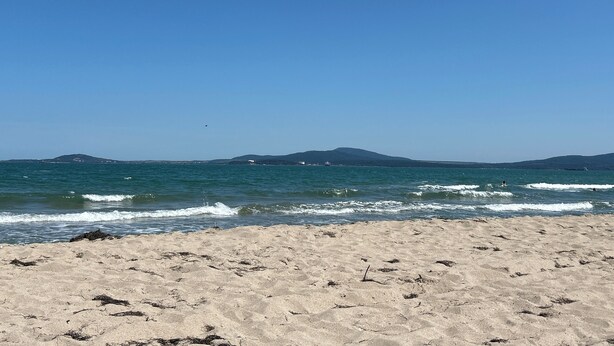 En strand med klar himmel och stilla vatten.