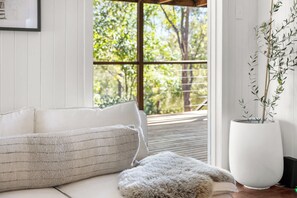 Ein Zimmer mit einem weißen Sofa, einer weichen Decke und einer großen Kübelpflanze.