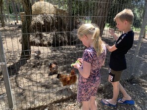 Cottage | View from property