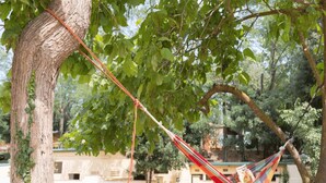 A hammock tied between trees in a garden area with a building in the background. - Begur Nature Glamping for 5 Guests (Begur)