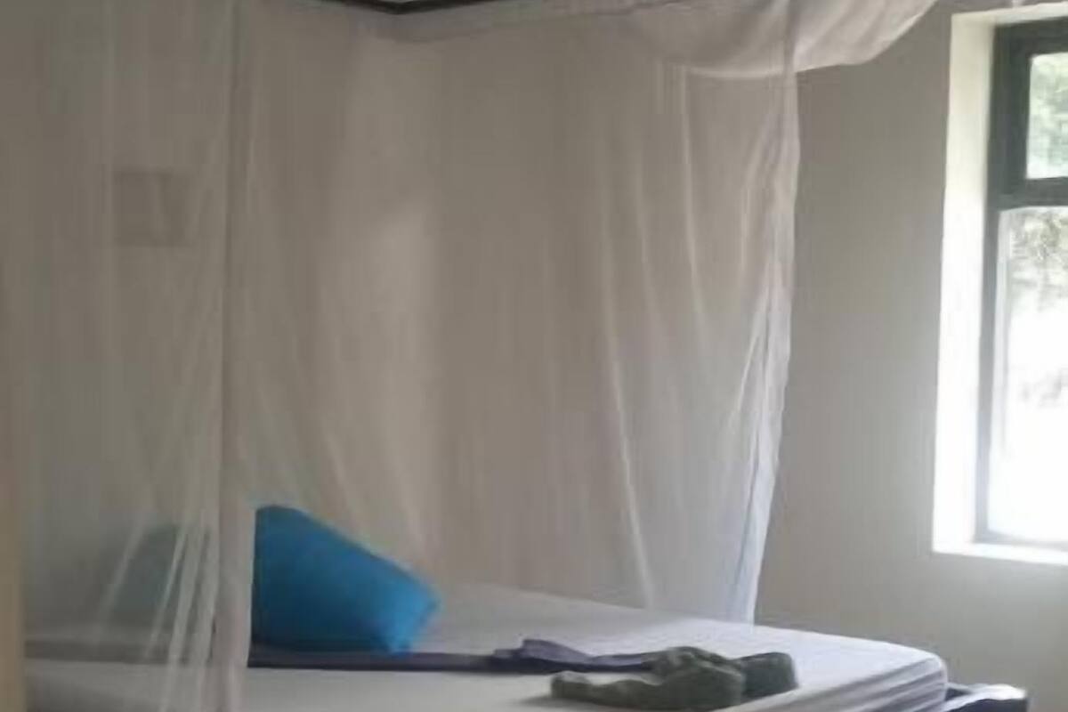 A room with a bed under a white canopy, a window, and a pair of green flip-flops on the floor.
