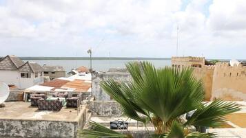 A rooftop with a satellite dish, outdoor furniture, and a palm tree.