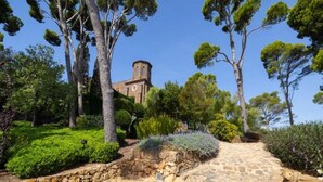 Un chemin de pierre mène à une église entourée d’une végétation luxuriante et d’arbres.