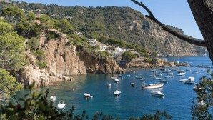 Un paysage côtier avec des bateaux ancrés dans une baie, entouré de falaises rocheuses et de verdure.