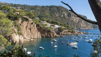 Cottage | View from property