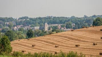 Bungalow | Blick von der Unterkunft