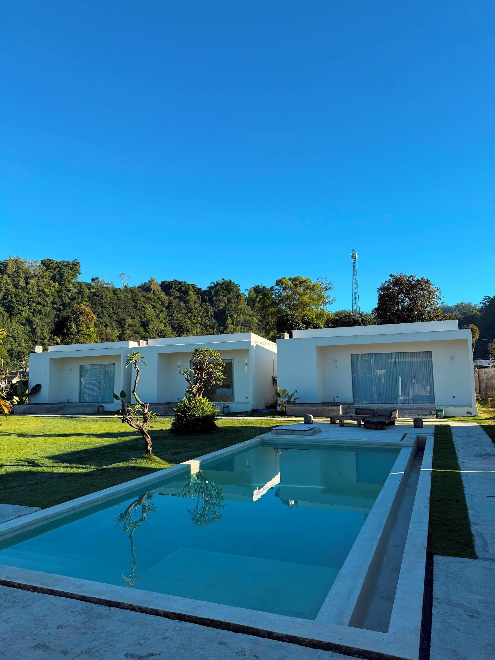 A modern villa with a swimming pool, a well-maintained lawn, and a clear view of the surrounding forest.