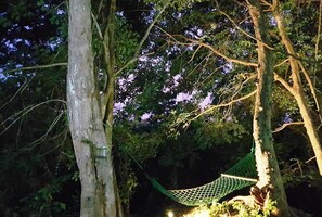 Miscellaneous - Green House Hotel (Inamaluwa)