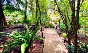 Khuôn viên nơi lưu trú