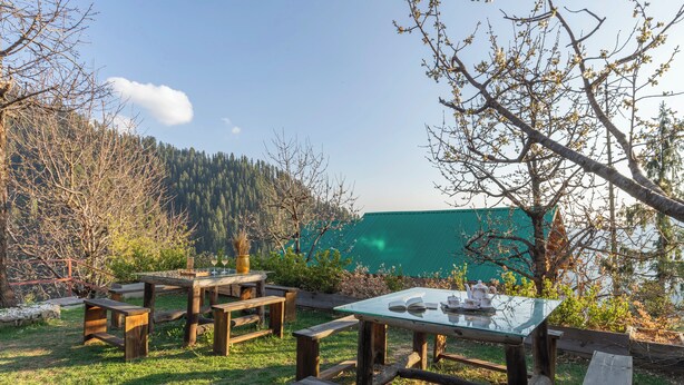 An outdoor dining area with wooden benches and picnic tables, surrounded by trees and a green-roofed building. - ELIVAAS Everly Luxury 1BHK Entire Home (Kumharsain)