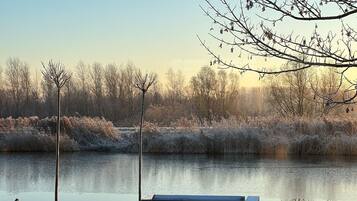 A bench by a calm body of water, a tree, and a bird.