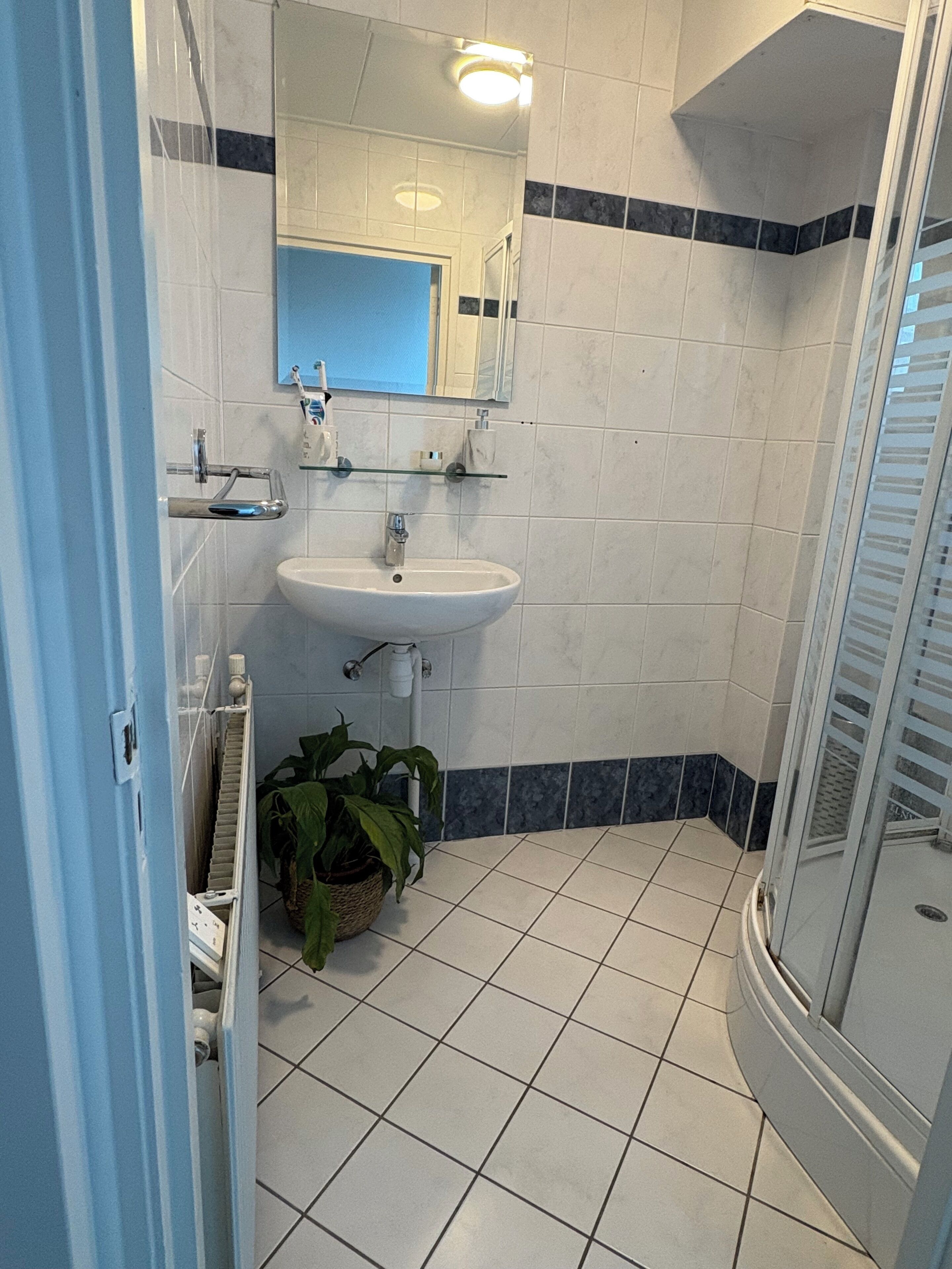 Regadera, secadora de cabello, toallas, jabón 