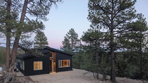 Eine moderne schwarze Holzhütte mit Kiesweg, umgeben von Kiefern.