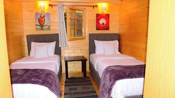 Iron/ironing board, free WiFi