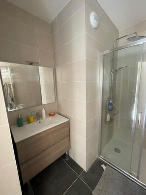 Hair dryer, towels, soap, toilet paper - Recent apartment in village center (Praz-sur-Arly)