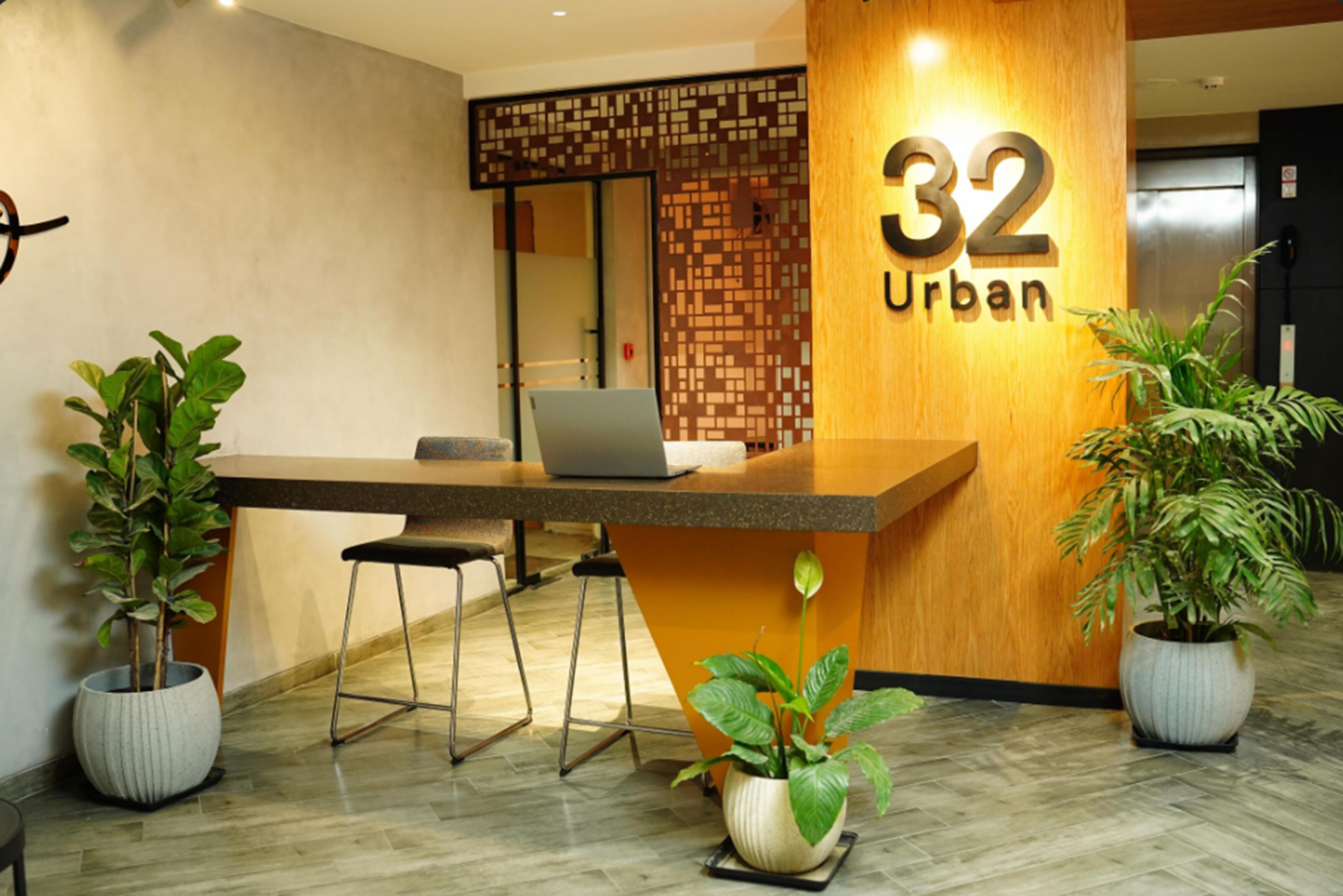 A reception desk with a laptop, two chairs, and potted plants.