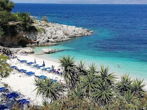 A beach with clear turquoise water, rocky coastline, and palm trees. - Dany Apartment – First Floor with Sea View (QWQF+J59 Kassiopi, Greece)