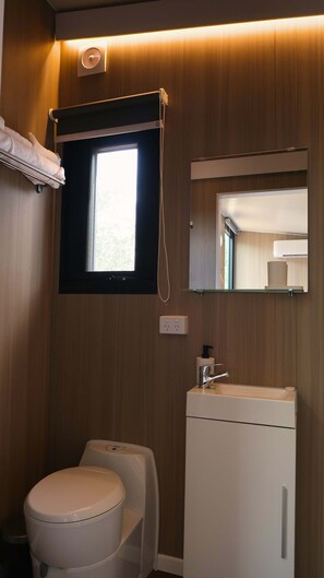 シャワー、ヘアドライヤー、タオル、シャンプー