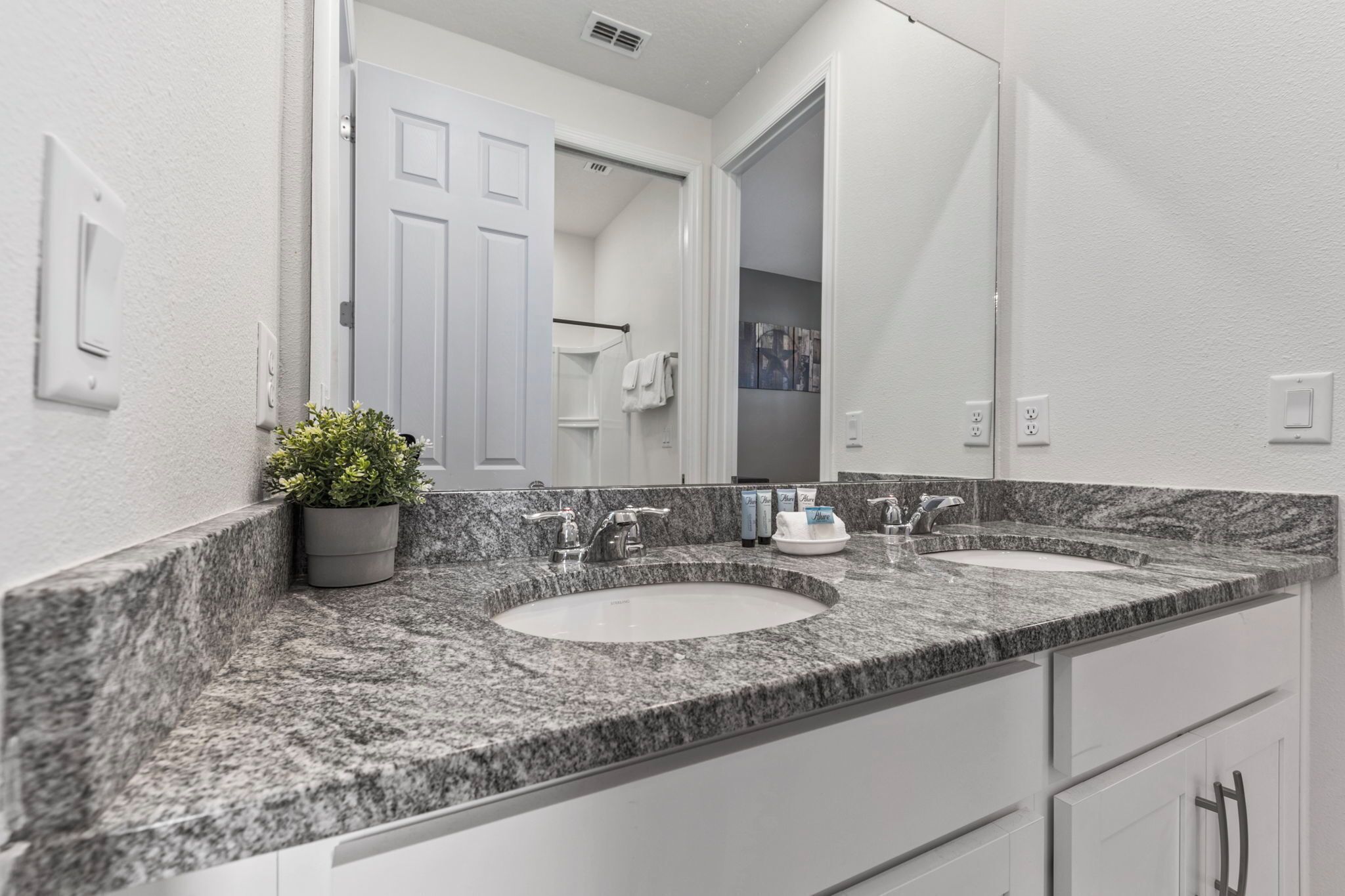 A bathroom with two sinks, a large mirror, and a potted plant.