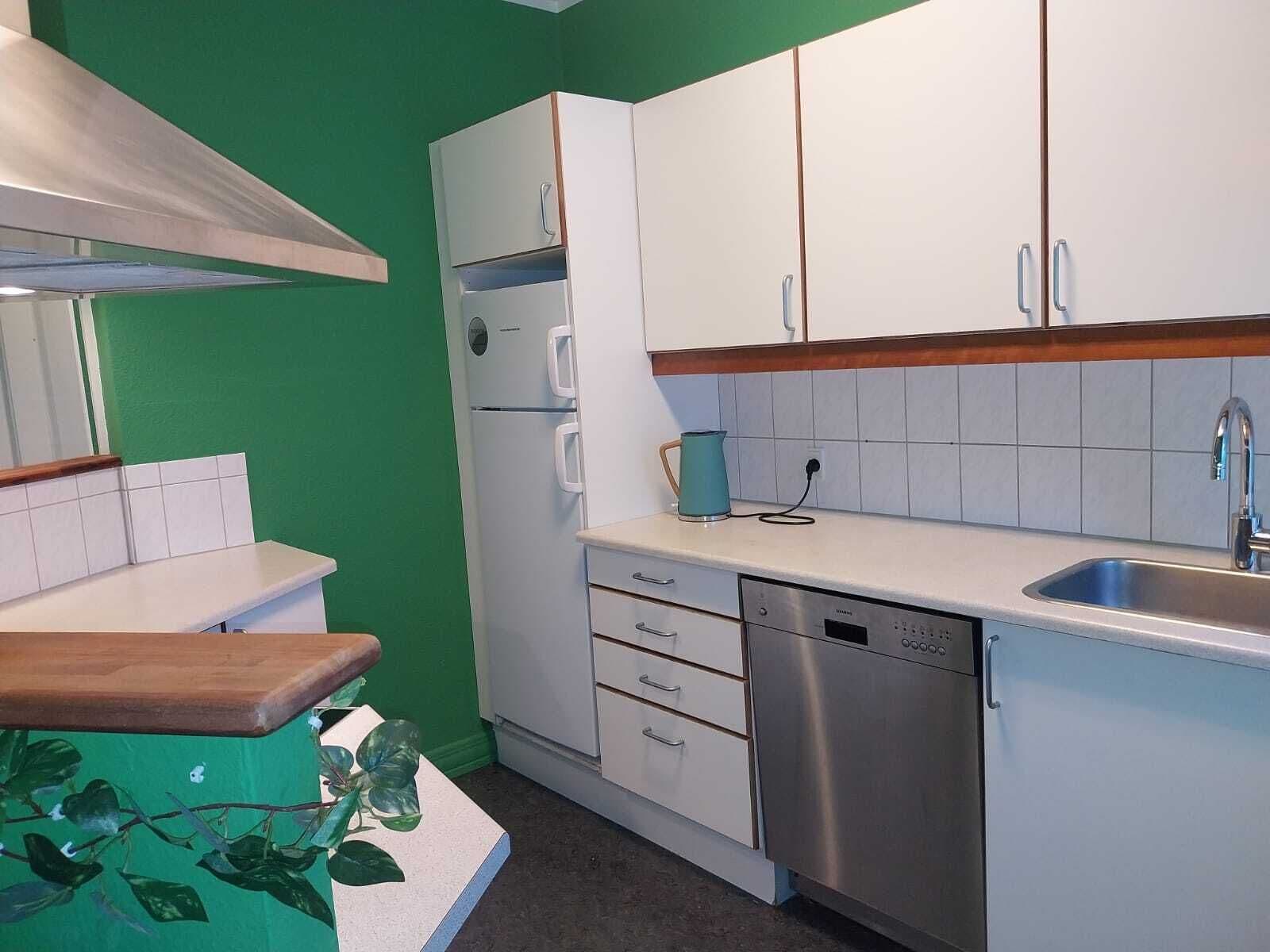 Eine Küche mit weißen Schränken, einem Edelstahl-Geschirrspüler und einer grünen Wand.