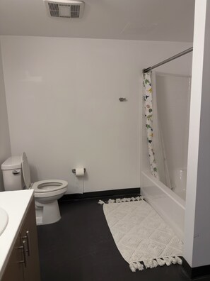 Chuveiro, secador de cabelo, toalhas de banho, sabonete