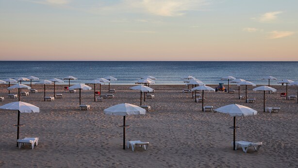 Una playa con hileras de sombrillas blancas y sillas de descanso.