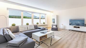 Fernseher, Stereoanlage